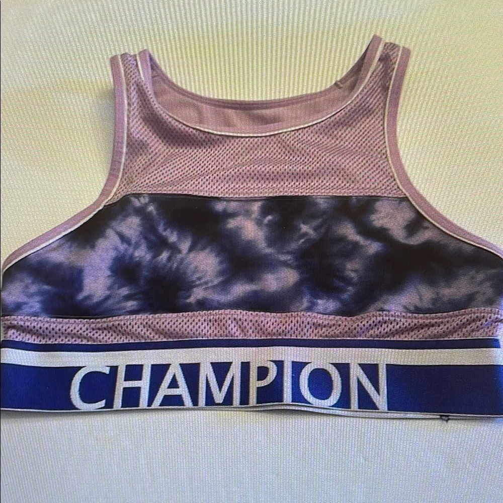 Champion Purple and Blue Sports Bra
